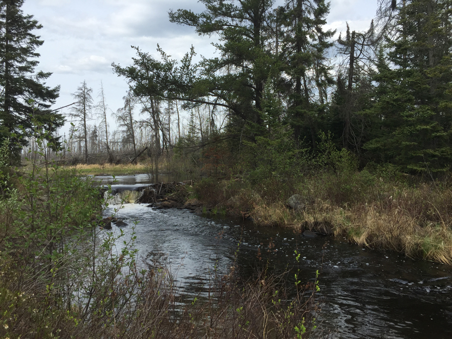 Small waterfall on Kawishiwi River in BWCA